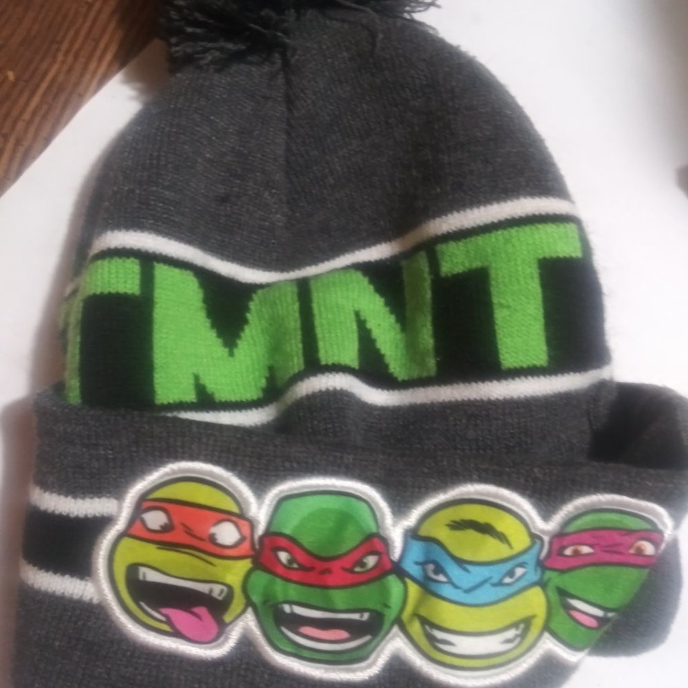 TMNT Hat